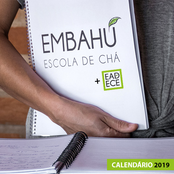 Calendário ECE 2019