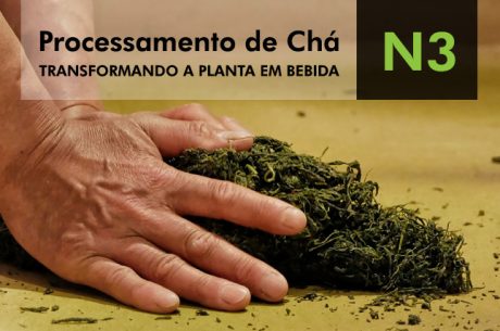 Curso Especialista em Chá - Nível 3: Processamento de Chá