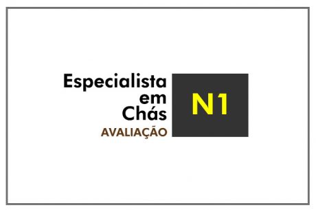 Avaliação N1