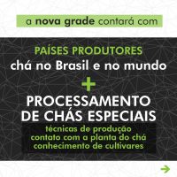 Formação de Especialista em Chás