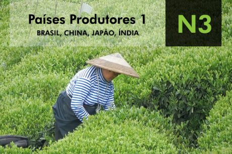 Curso Especialista em Chá - Nível 3: Países Produtores 1